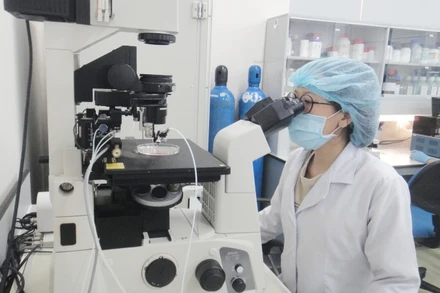 Sinh viên Đại học Quốc gia TP Hồ Chí Minh đang nghiên cứu khoa học công nghệ.