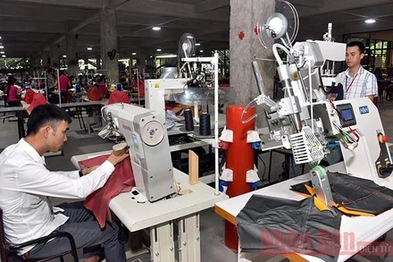 Kết nối thông tin về thị trường lao động đem lại lợi ích cho cả người lao động và người sử dụng lao động (Ảnh minh họa: Duy Linh).