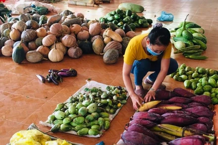 Phân loại thực phẩm trước khi đưa đến hỗ trợ cho người dân vùng dịch.