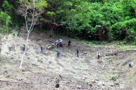 Người dân lấn chiếm rừng, đất rừng ở xã Phú Mỡ để làm đất sản xuất.