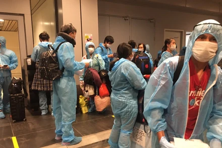 Hành khách xuống sân bay Vân Đồn được phát sim 4G miễn phí và hướng dẫn cài Bluezone.