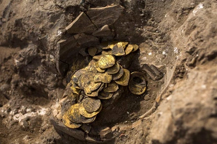 Những đồng tiền vàng cổ trong chiếc bình. Ảnh: USA Today