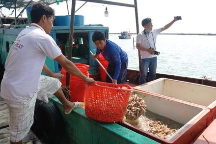 Tàu thu mua tôm tích cập bến trên hòn.