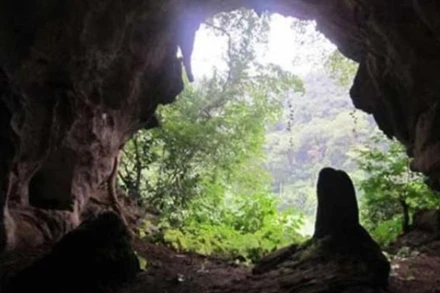 Hang Con Moong. Ảnh: Bộ Văn hóa, Thể thao và Du lịch.