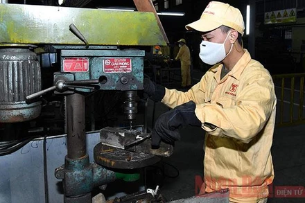 Ảnh minh họa: Duy Linh.