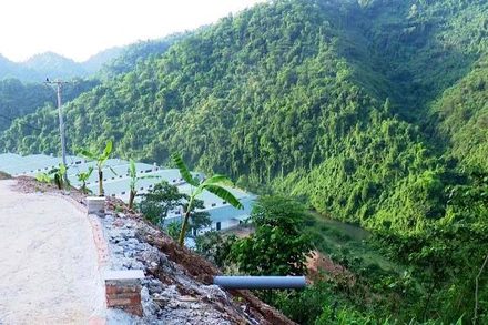 Trang trại lợn của công ty xây dựng sát dòng sông Cầu. 