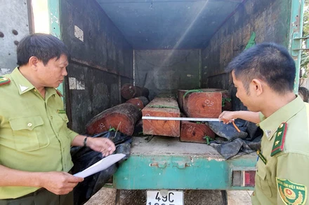 Ô-tô cùng tang vật vụ việc tại cơ quan kiểm lâm.