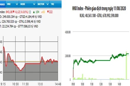 Diễn biến VN-Index và HNX-Index, phiên giao dịch ngày 11-8. 