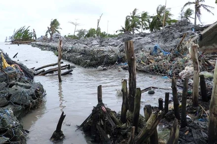 Sạt lở vào tận chân đê biển Tây, đoạn thuộc xã Khánh Tiến, huyện U Minh, tỉnh Cà Mau.