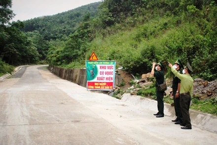 Lực lượng kiểm lâm Quảng Trị tổ chức xua đuổi voọc, bảo vệ người dân đi đường Hồ Chí Minh nhánh tây, đoạn qua xã Hướng Lập.