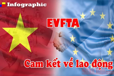 [Infographic] Cam kết về lao động trong EVFTA