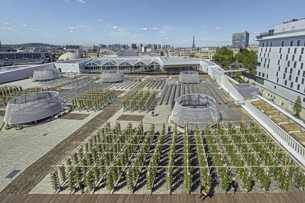 Nông trại Nature Urbaine tọa lạc trên mái nhà của một trung tâm triển lãm, ở Thủ đô Paris của Pháp. (Ảnh: The Sunday Times)
