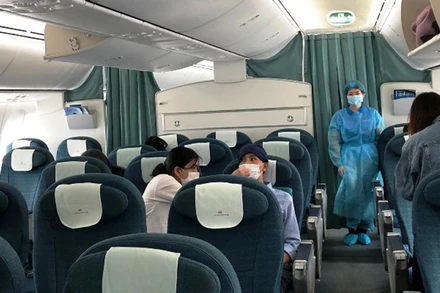 Đưa công dân Việt Nam tại Nhật Bản về nước vào tháng 4-2020 (Ảnh: VNA).