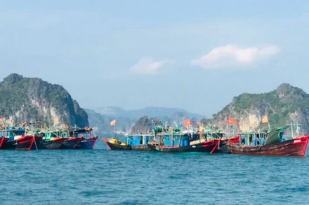 Khu vực vùng biển xảy ra vụ việc.