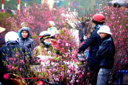 Miền bắc khả năng có mưa dông, lốc sét trước Tết Nguyên đán