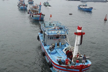 Những hải trình mang vị đời thấm ngọt.