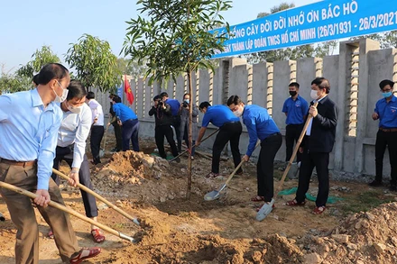 Trồng cây xanh trong khuôn viên dự án Trung tâm Thanh thiếu niên tỉnh Nghệ An. (Ảnh: Quang Thành)