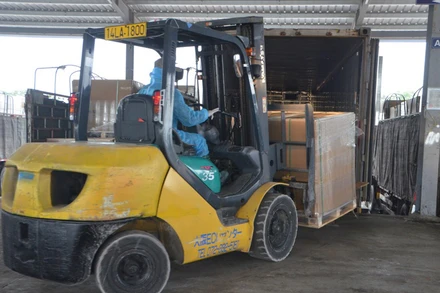 Hoạt động bốc xếp hàng hóa tại bãi kiểm hóa Tân Đại Dương luôn bảo đảm các quy định về phòng, chống dịch Covid-19. 