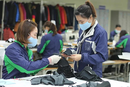 Ảnh minh họa: Duy Linh.