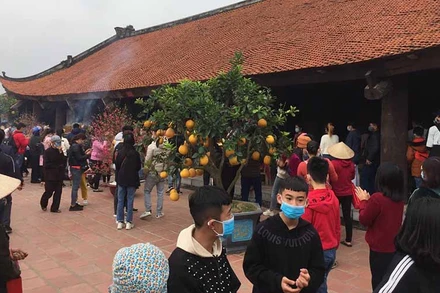 Khuôn viên tòa tiền tế chùa Keo chật kín du khách tới chiêm bái sáng mùng 4 Tết.