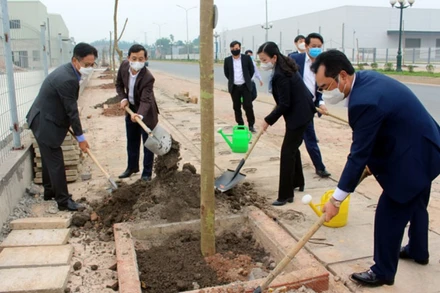 Lãnh đạo tỉnh Thái Nguyên hưởng ứng “Tết trồng cây đời đời nhớ ơn Bác Hồ”.