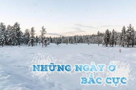 Những ngày ở Bắc Cực