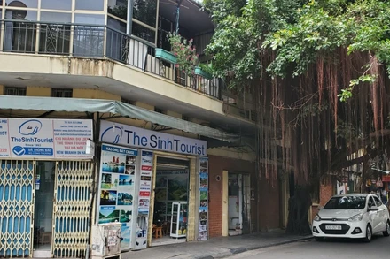 Các doanh nghiệp du lịch thuộc nhóm ngành chịu tác động nặng nề nhất từ đại dịch Covid-19.