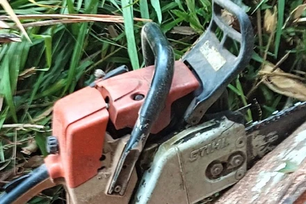 Bắt quả tang đối tượng khai thác lâm sản trái phép