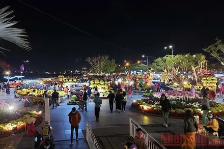 Đường hoa xuân Bạch Đằng thu hút người dân