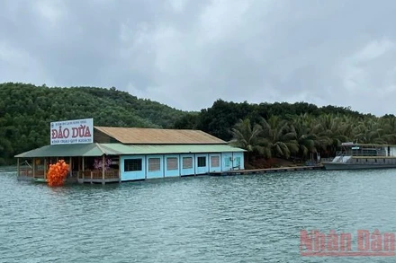 Đảo Dừa - đảo du lịch xanh tựa lưng vào mênh mông “rừng ông Tuy”.