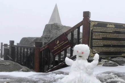 Tuyết “bay” phủ trắng đỉnh Fansipan, sáng 8-2.