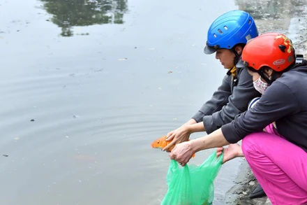Người dân Hà Nội thả cá chép tiễn ông Táo về trời