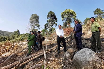 Chủ tịch UBND TP Đà Lạt Tôn Thiện San (áo trắng) trực tiếp kiểm tra hiện trường, chỉ đạo xử lý nghiêm vụ việc.