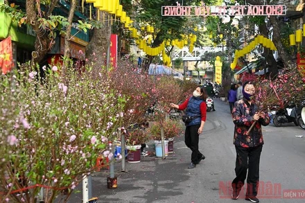 Nhịp sống phố cổ sáng 30 Tết