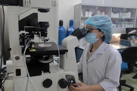 Nghiên cứu khoa học tại Đại học Quốc gia TP Hồ Chí Minh.