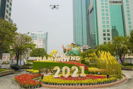 Tham quan đường hoa xuân từ xa bằng công nghệ số