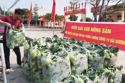 Một điểm giải cứu nông sản tại Hải Dương.
