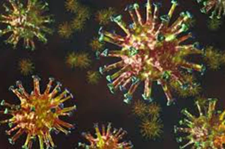 Các địa phương nỗ lực phòng, chống dịch Covid-19