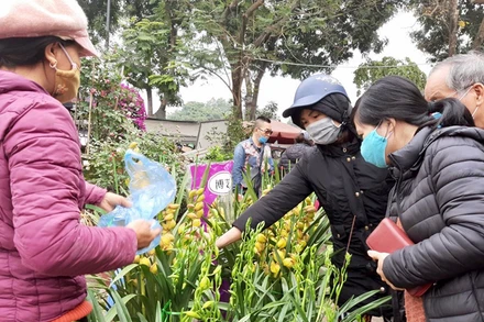 Người dân Hà Nội mua hoa tại chợ đầu mối phía nam.