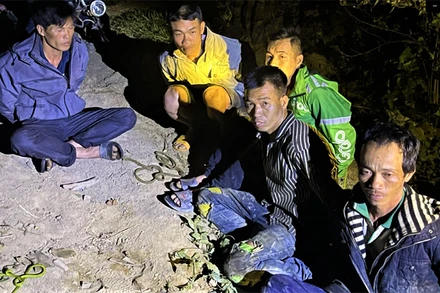 Các đối tượng khai thác và vận chuyển gỗ Pơ-mu trái phép bị lực lượng Công an huyện Krông Bông bắt giữ.