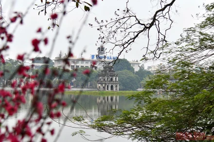 Trong tiết trời se lạnh, những cánh đào Xuân bừng nở khoe sắc bên Hồ Hoàn Kiếm.