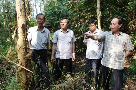 Bí thư Tỉnh ủy Hậu Giang Lê Tiến Châu (bìa phải) kiểm tra tại khu bảo tồn.