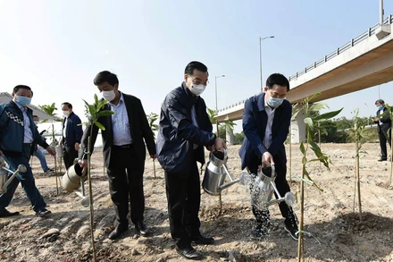 Bí thư Thành ủy Vương Đình Huệ, Chủ tịch UBND thành phố Hà Nội Chu Ngọc Anh và các đại biểu trồng cây tại lễ phát động. (Ảnh: DUY LINH)