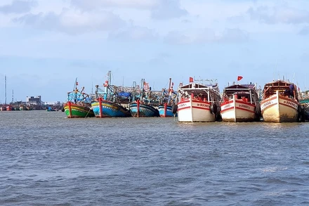 Miền biển Sông Đốc (huyện Trần Văn Thời), nơi vừa phát hiện vụ nhập cảnh cảnh phép từ Malaysia.