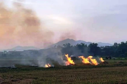 Người dân huyện Mỹ Đức đốt rơm rạ sau thu hoạch.
