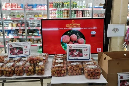 Vải thiều Thanh Hà gắn tem truy xuất nguồn gốc itrace247 lên hệ thống siêu thị Á Châu tại Paris.
