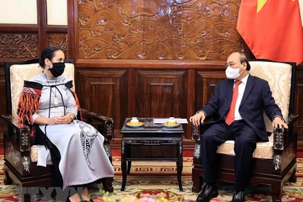 Chủ tịch nước Nguyễn Xuân Phúc tiếp Đại sứ New Zealand Tredene Dobson. (Ảnh: Thống Nhất/TTXVN)