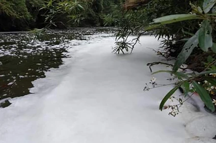 Một đoạn sông Phó Đáy nổi bọt trắng vì nước thải từ nhà máy của công ty trong thời gian qua. (Ảnh: Người dân cung cấp) 