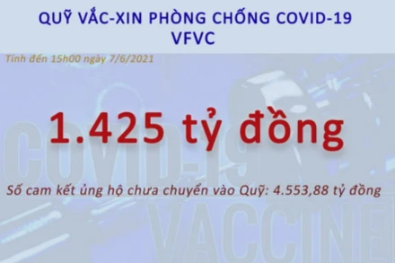 Tính đến 15 giờ ngày 7-6 đã có 227.862 tổ chức và cá nhân tham gia đóng góp với tổng giá trị quy đổi ra VND là 1.425 tỷ đồng. (Ảnh: Bộ Tài chính)