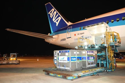 Ảnh: Cảng Hàng không quốc tế Nội Bài cung cấp